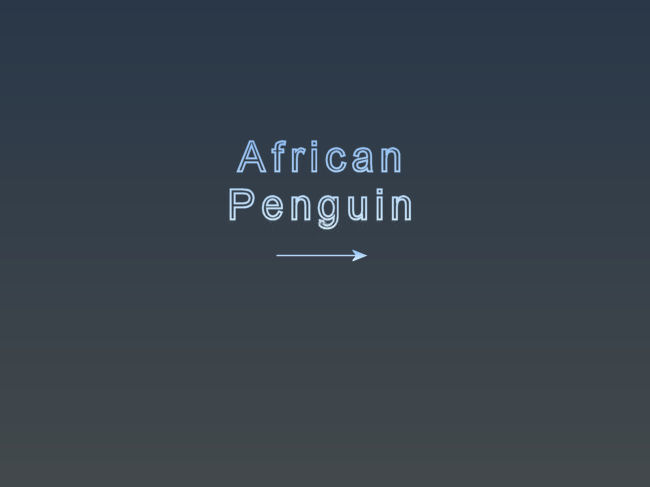 04_African.jpg