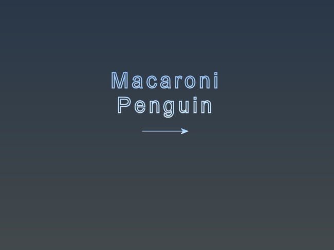 05_Macaroni.jpg
