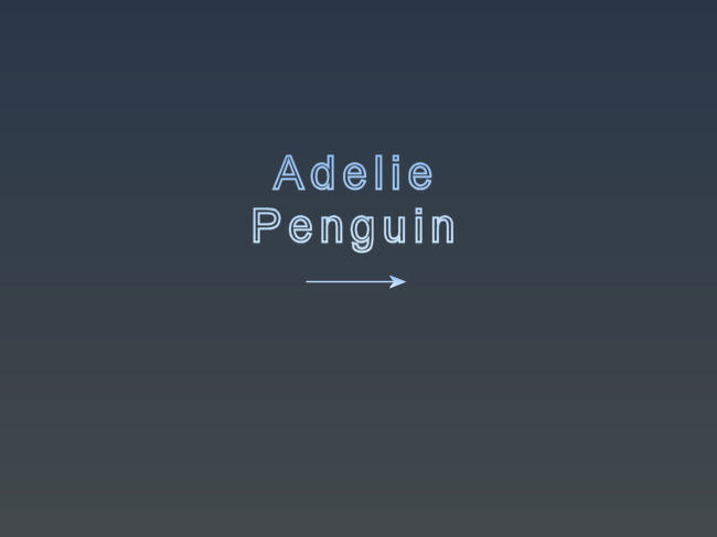 08_Adelie.jpg