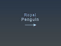 Royal Penguin Title Page