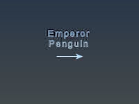 Emperor Penguin Title Page